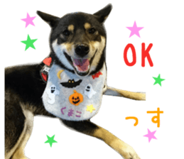 Real DOG Wan de FULL Ver.2 sticker #14241332