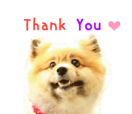 Real DOG Wan de FULL Ver.2 sticker #14241334