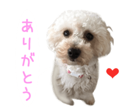 Real DOG Wan de FULL Ver.2 sticker #14241335