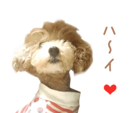 Real DOG Wan de FULL Ver.2 sticker #14241336