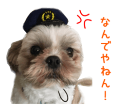 Real DOG Wan de FULL Ver.2 sticker #14241338