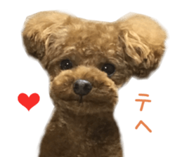 Real DOG Wan de FULL Ver.2 sticker #14241339