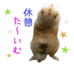 Real DOG Wan de FULL Ver.2 sticker #14241341