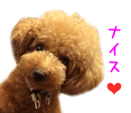 Real DOG Wan de FULL Ver.2 sticker #14241342