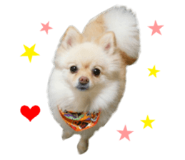 Real DOG Wan de FULL Ver.2 sticker #14241345