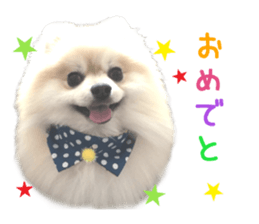 Real DOG Wan de FULL Ver.2 sticker #14241346