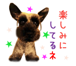 Real DOG Wan de FULL Ver.2 sticker #14241351