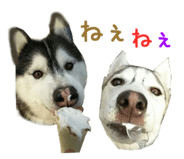 Real DOG Wan de FULL Ver.2 sticker #14241352