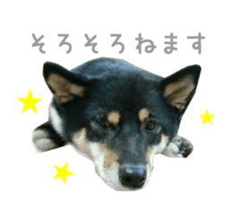 Real DOG Wan de FULL Ver.2 sticker #14241355