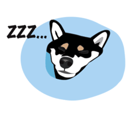 Black Shiba Inu Akira 2 sticker #14243472