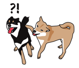 Black Shiba Inu Akira 2 sticker #14243473