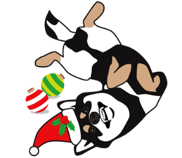 Black Shiba Inu Akira 2 sticker #14243476