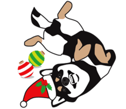 Black Shiba Inu Akira 2 sticker #14243476