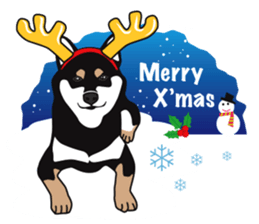 Black Shiba Inu Akira 2 sticker #14243477