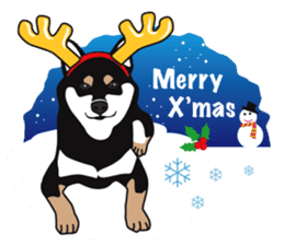 Black Shiba Inu Akira 2 sticker #14243477