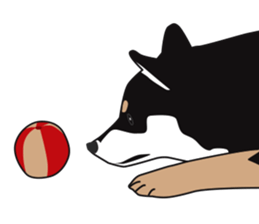 Black Shiba Inu Akira 2 sticker #14243479