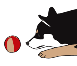 Black Shiba Inu Akira 2 sticker #14243479