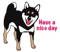 Black Shiba Inu Akira 2 sticker #14243480