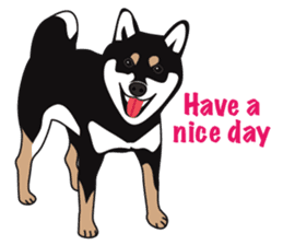 Black Shiba Inu Akira 2 sticker #14243480