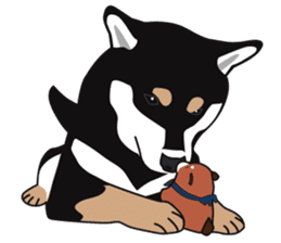 Black Shiba Inu Akira 2 sticker #14243481