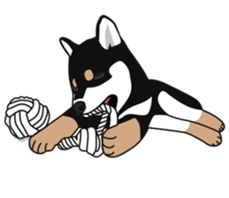 Black Shiba Inu Akira 2 sticker #14243484
