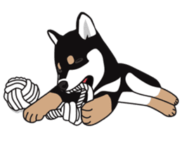 Black Shiba Inu Akira 2 sticker #14243484