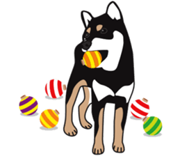 Black Shiba Inu Akira 2 sticker #14243487