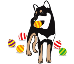 Black Shiba Inu Akira 2 sticker #14243487