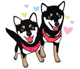 Black Shiba Inu Akira 2 sticker #14243492