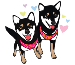 Black Shiba Inu Akira 2 sticker #14243492