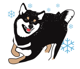 Black Shiba Inu Akira 2 sticker #14243493