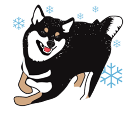 Black Shiba Inu Akira 2 sticker #14243493