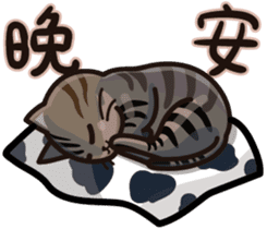 Cats integrated sticker #14243751