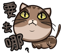 Cats integrated sticker #14243757