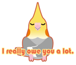 2017 Cockatiel with a cute cheek sticker #14243789