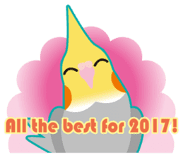 2017 Cockatiel with a cute cheek sticker #14243790