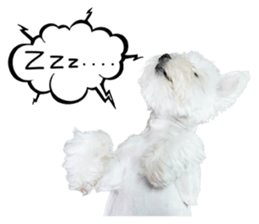 PIPI&PAPA sticker #14245063