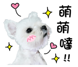 PIPI&PAPA sticker #14245065