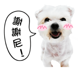 PIPI&PAPA sticker #14245067