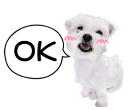 PIPI&PAPA sticker #14245069