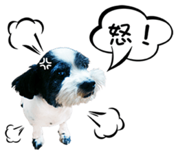 PIPI&PAPA sticker #14245071