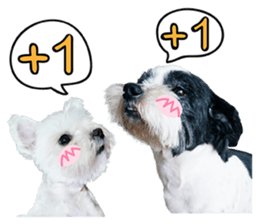 PIPI&PAPA sticker #14245072