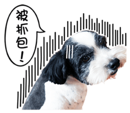 PIPI&PAPA sticker #14245074