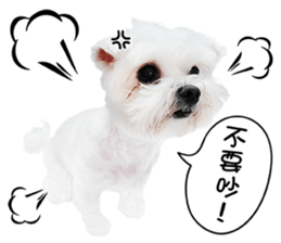 PIPI&PAPA sticker #14245075