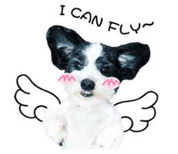 PIPI&PAPA sticker #14245076