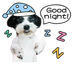 PIPI&PAPA sticker #14245077