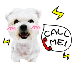 PIPI&PAPA sticker #14245080