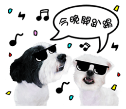 PIPI&PAPA sticker #14245081