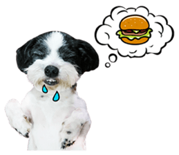 PIPI&PAPA sticker #14245082