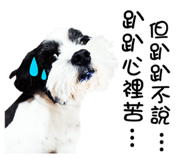 PIPI&PAPA sticker #14245084